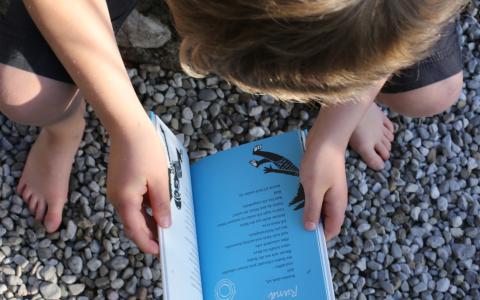 Bub auf Kiesel mit Buch